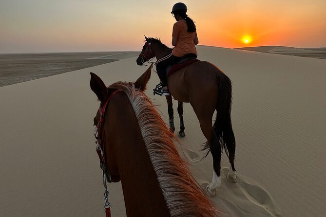 Doha Desert Safari Horse Riding, Camel Ride, ATVs & Inland Sea Image 1