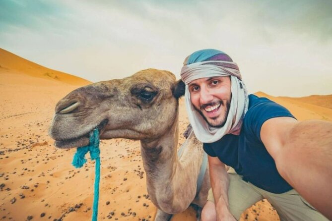 Doha Desert Safari Horse Riding, Camel Ride, ATVs & Inland Sea Image 2
